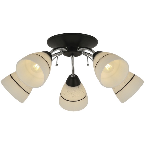 Потолочная люстра Toplight Winnifred TL1255D-05BC