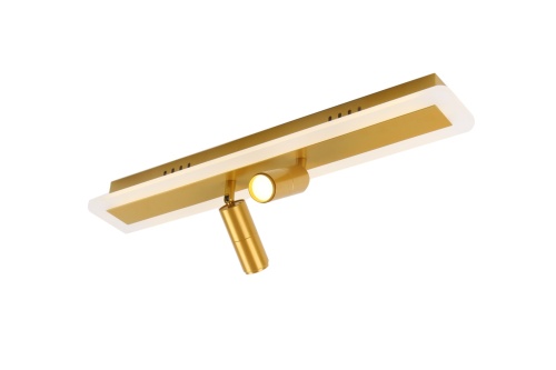 Потолочный светильник Arte Lamp TOMMY A2607PL-22GO