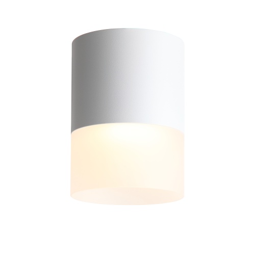 Светильник потолочный ST-Luce OTTU ST100.502.15