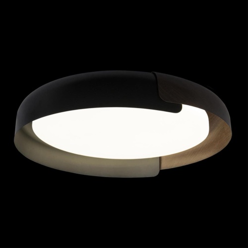 Потолочный светильник Loft It (Light for You) Coin 10198 Black фото 3