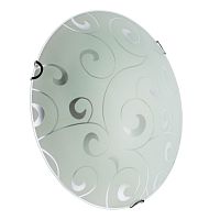 Светильник настенно-потолочный Arte Lamp ornament A3320PL-2CC