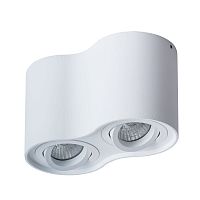 Светильник Arte Lamp Falcon A5645PL-2WH