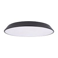 LOFT IT Brim Потолочный светильник 10226 Black