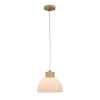 Светильник подвесной Arte Lamp A4184SP-1BR