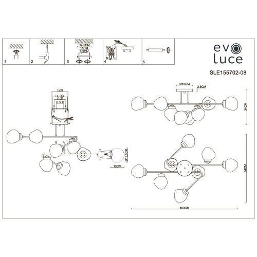 Люстра потолочная Evoluce More SLE155702-08 фото 11