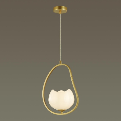 Подвес Odeon Light MODERN 4873/1 фото 6