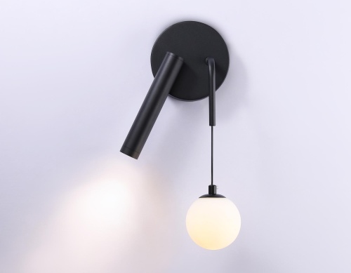 Настенный светодиодный светильник со сменной лампой Ambrella FL FL66385 фото 3