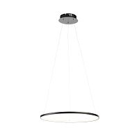 Светильник подвесной ST-Luce ERTO SL904.403.01