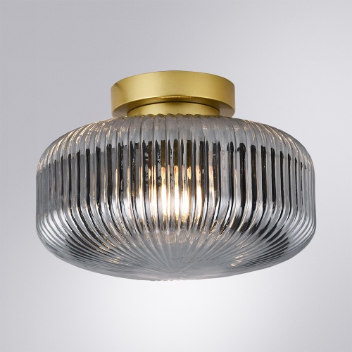 Светильник потолочный Arte Lamp HAMAL A6170PL-1GO фото 6