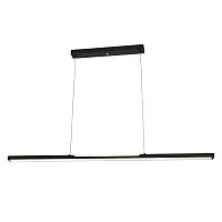 Подвесной светильник Escada 604/S LED*48W Black