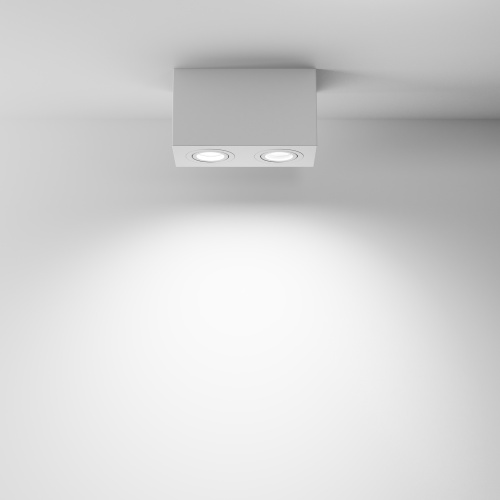 Потолочный светильник Maytoni Technical C017CL-02W фото 4