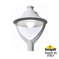 Уличный фонарь на столб Fumagalli BEPPE серый, прозрачный P50.000.000.LXH27