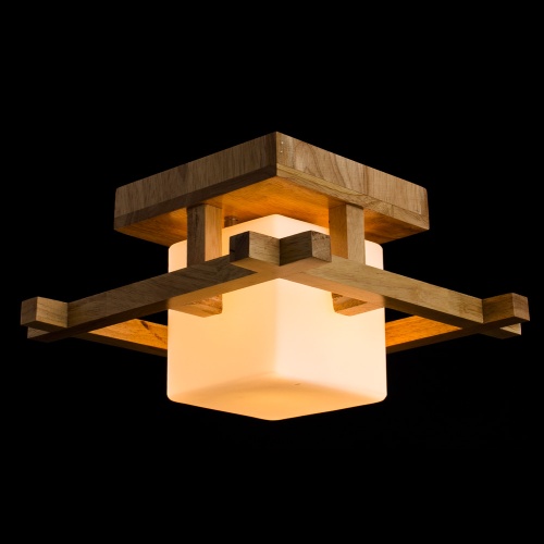 Потолочный светильник Arte Lamp Woods  A8252PL-1BR фото 3