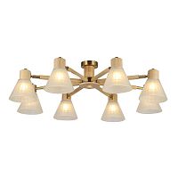 Светильник потолочный Arte Lamp MELEPH A4096PL-8BR